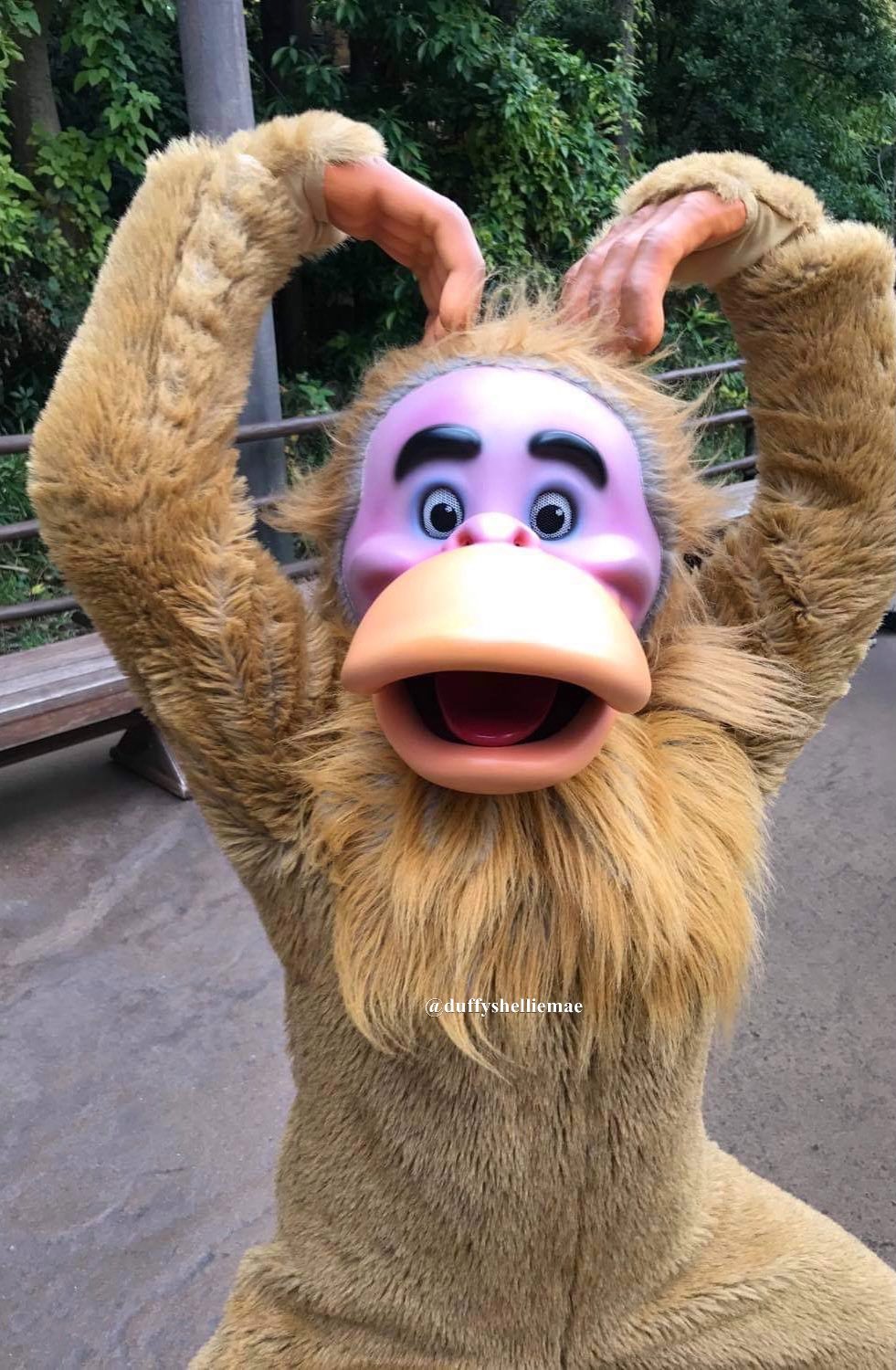 تويتر Duffyshelliemae على تويتر Happy th Birthday To One Of Our Favorite Places In The World Tokyodisneysea Disney Tokyodisneyseathanniversary 東京ディズニーシー周年 Junglebookmonkey Junglebook Disneycharacter Sillymonkey