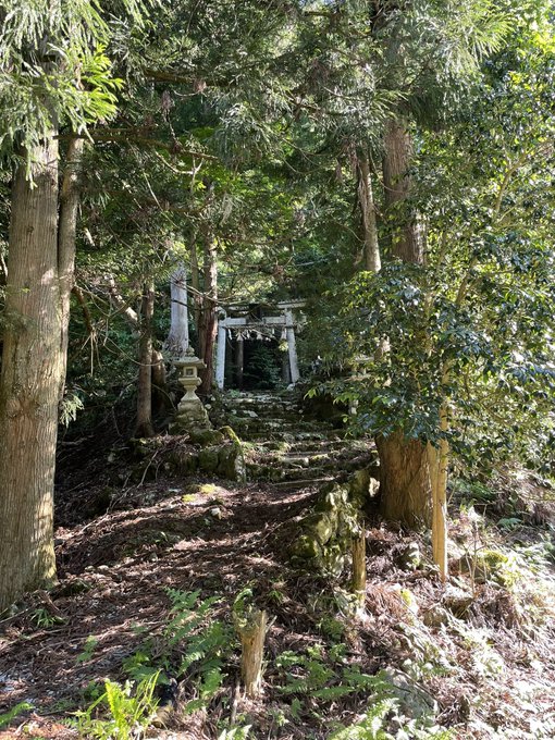 Watch yuu's leaked NSFW photo on TwXstars