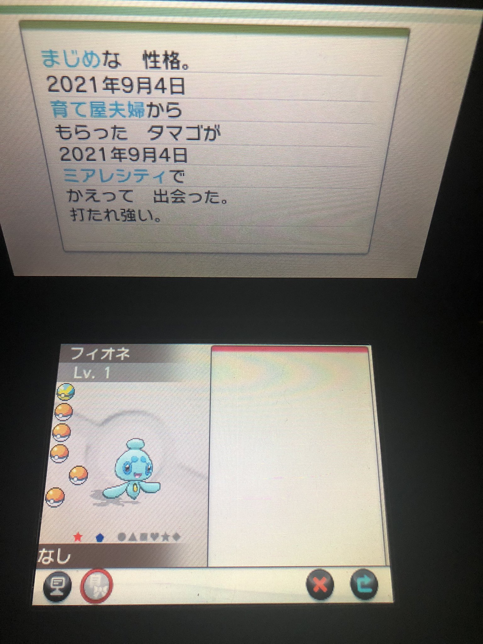ミカン やっと光った 私の旅したいポケモンはフィオネです 剣盾には連れて行けなかったので リメイクダイパで連れ歩きできるかな 念願の孵化るday初色違い 間に合って良かった 孵化るday T Co We4qumfalr Twitter