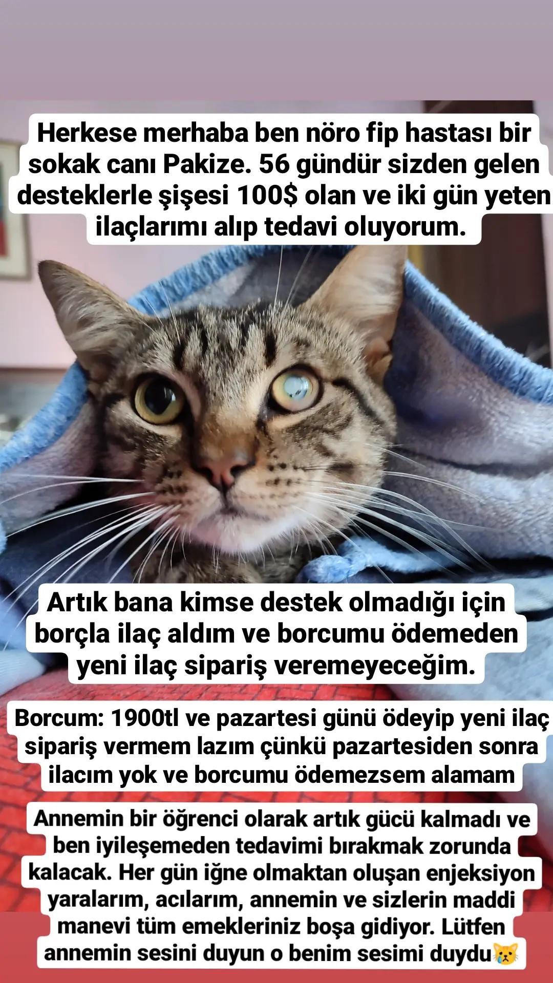Zeliha Tugce Zelihaatugce Twitter