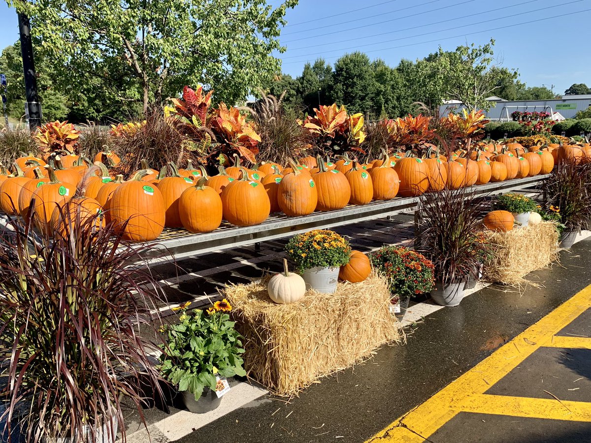 shanecombscobb's tweet photo. Happy Saturday from Wendover #HD3608! 
🎃🍁🌼 @pps_s_atlantic @JarrettBennett3 @PPSinHD https://t.co/8966VoPXg0
