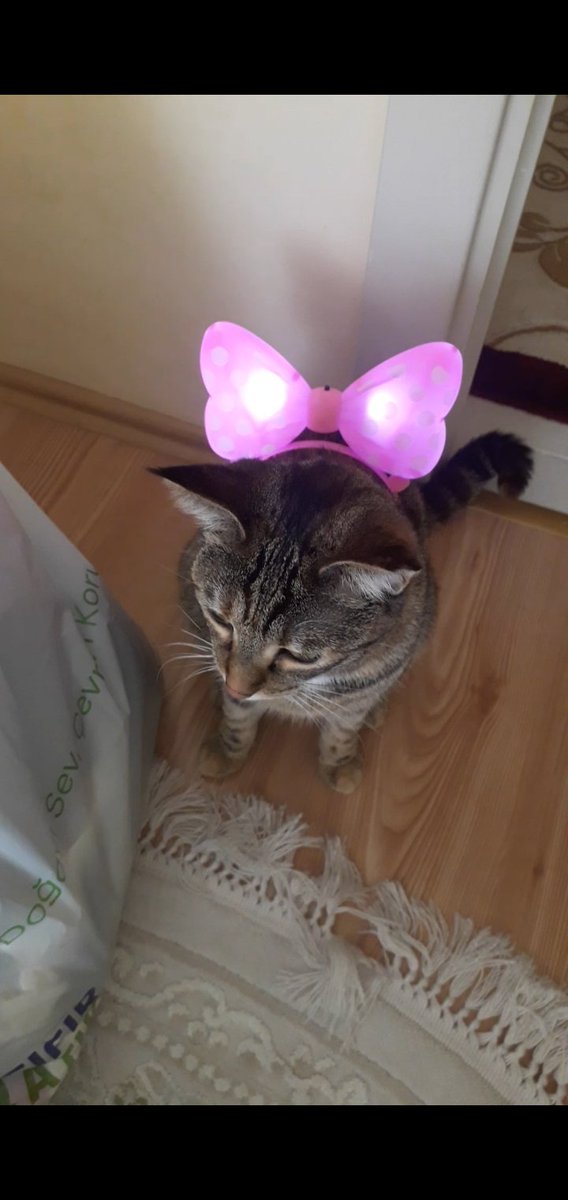 anannimin bana aldıkına bakın hemeeen