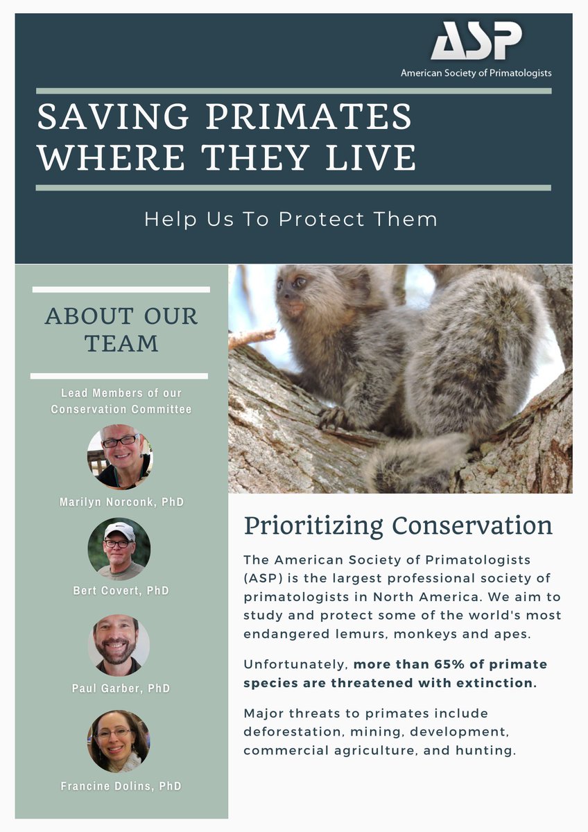 The <a href="/ASPvoice/">AmSoc Primatologists</a> Conservation Committee is pleased to announce the "Saving the Primates Where they Live" initiative, which will provide financial assistance to habitat-country primatologists, those best positioned to protect the primates in their countries.

asp.org
