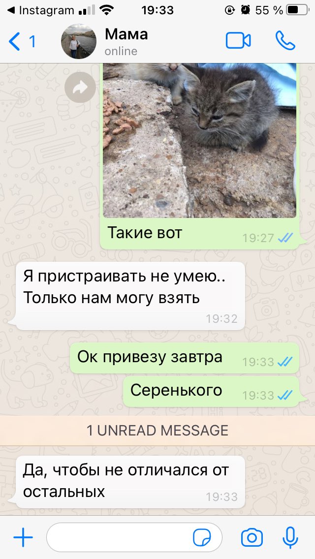 Морина tweet media