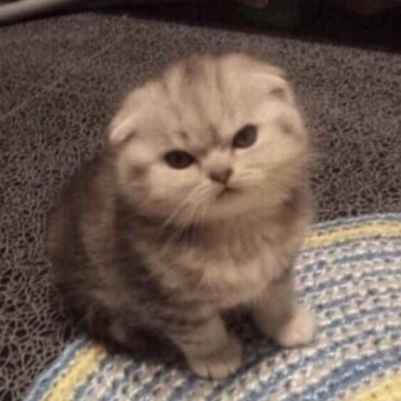 peachpit1999's tweet image. :งอนแนะ จามั่ยคุยด้วยเปนปี