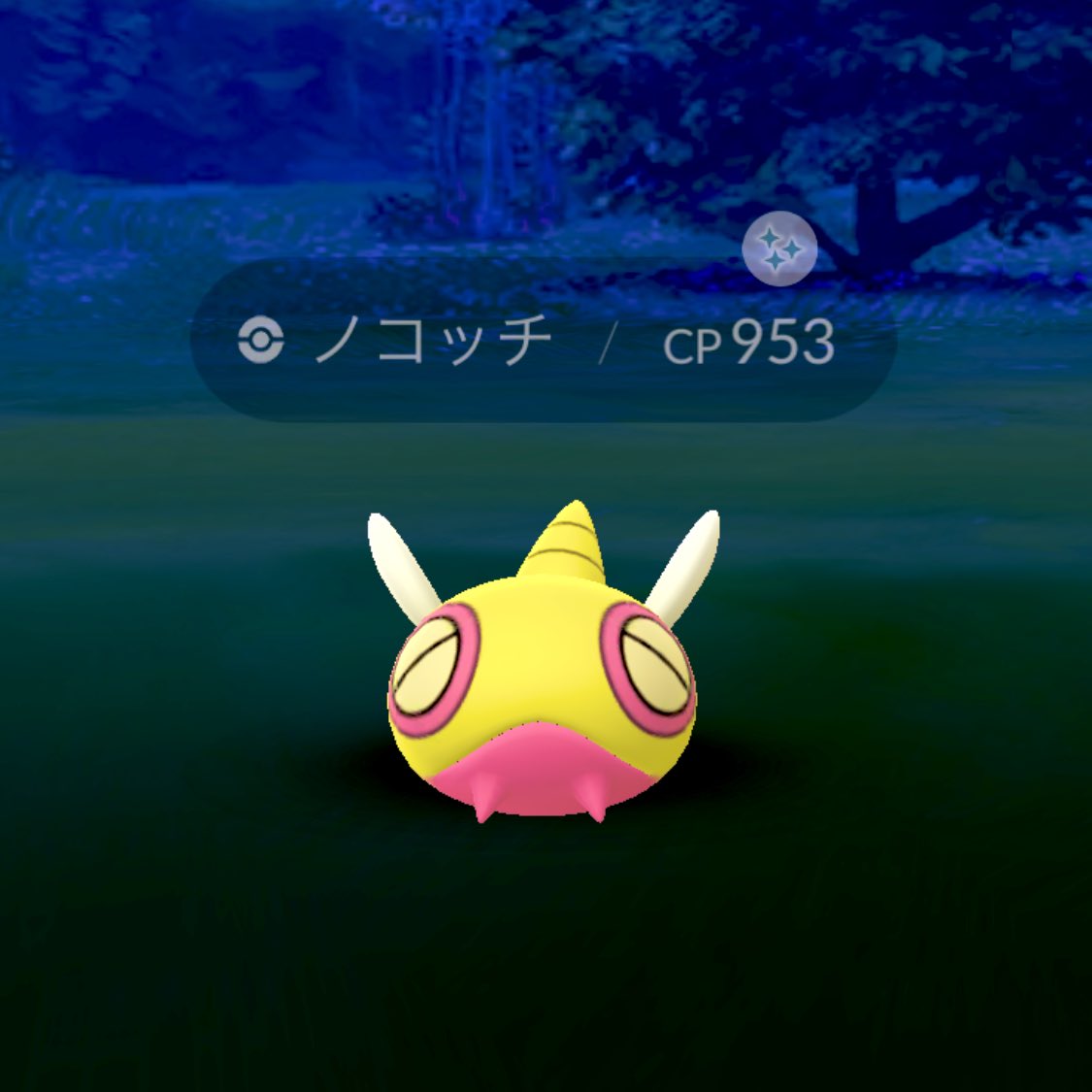 うさこ Usakopokego Twitter