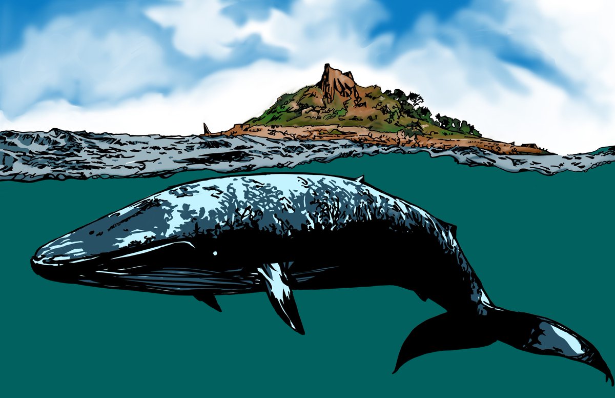 vega_jom's tweet photo. Into the Great Blue #blue #whale #jomvega #artph #inkart #ArtistOnTwitter #comics #illustrator #animation https://t.co/uwYf4KzlL9