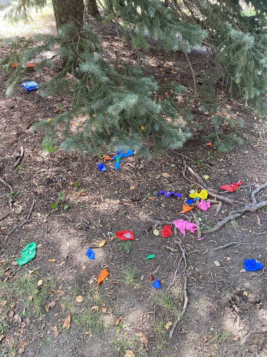 christineoclock's tweet photo. If you’re going to have a party in a park, CLEAN UP!! 😡 the scene at Rockwood Glen Park @citymississauga @MissiNewsRoom https://t.co/62OQwF6cUd