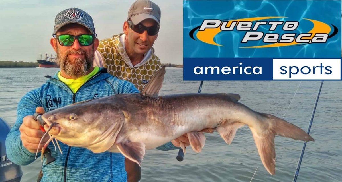 waltergastaldi's tweet photo. Hoy Sábado 23:30 hs en @AmericaSportsTV  canal 115 de Cablevisión Flow una gran pesca de Bagres de Mar documentada en el Programa @puertopesca  no se lo pierdan !!!! 
#pesca #argentina #bagre #puertopesca #payoargentina https://t.co/jpM2xaAfjG