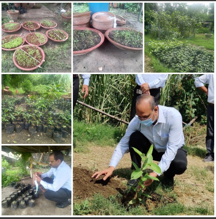 cleangreenBGR's tweet photo. पार्ले बिस्कुट प्राइवेट लि.,  प्रबंधन के द्वारा हर साल हजारों पौधों नर्सरी में तैयार करके विभिन्न क्षेत्रों में लगाए जाते हैं। पर्यावरण के प्रति यदि औद्योगिक इकाइयां अपनी जिम्मेदारियों का निर्वहन करें तो वह दिन दूर नहीं जब बहादुरगढ़  हरा भरा होगा।
@officialparleg https://t.co/h3hf6vqQcK