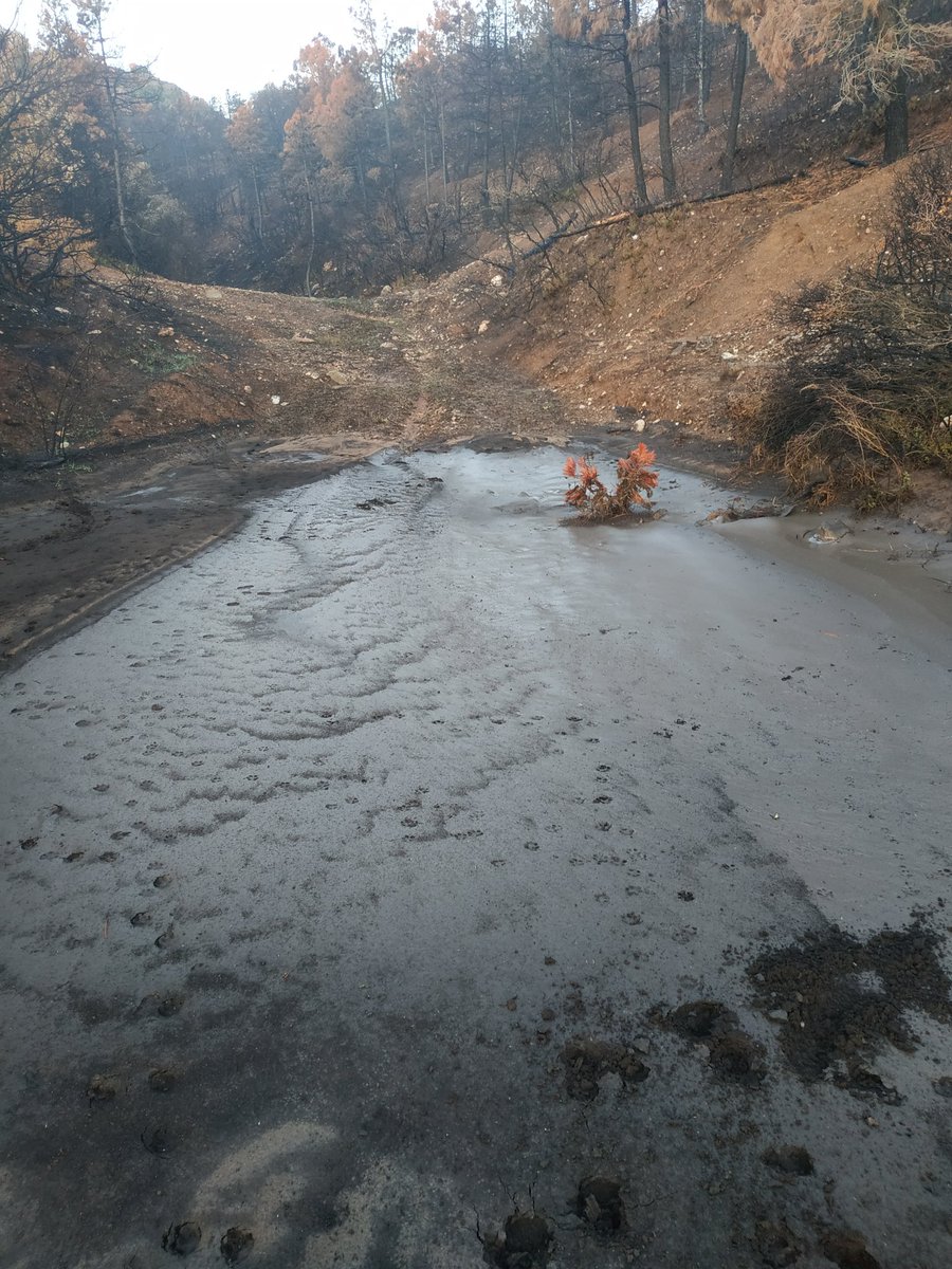 fpcabello's tweet photo. Las acumulaciones de ceniza y sedimentos finos,  en una pequeña concavidad al final de un barranco (Autol, La Rioja), manifiesta la reactivación hidro-geomorfológica derivada de los efectos del #ifyerga de finales de julio combinada con las fuertes tormentas de los últimos días. https://t.co/OkvnbFNZhb