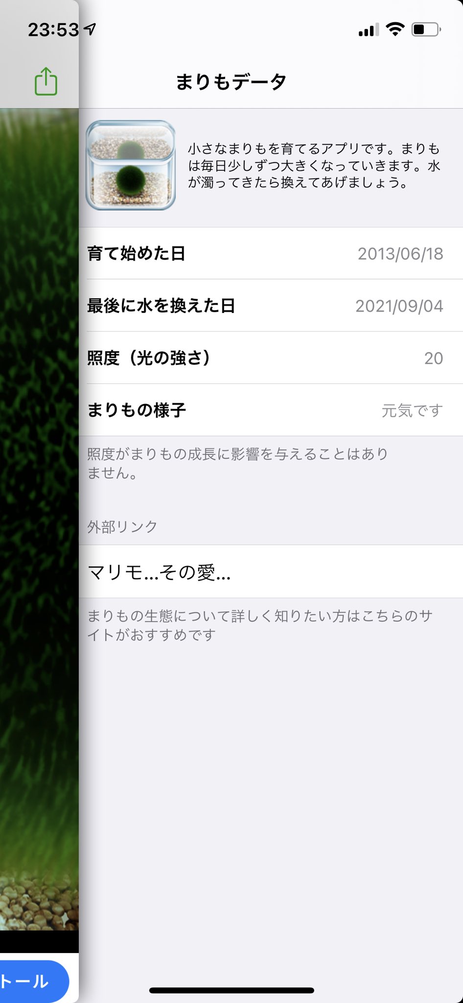 空野詩音 まりもを育てて3000日 T Co Fkshp9fdqz Twitter