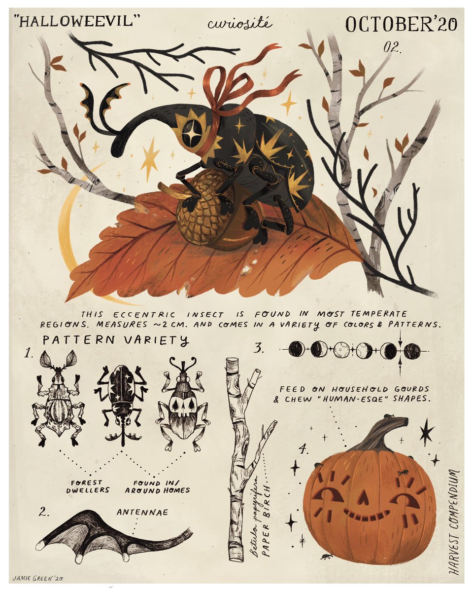 jamiegreenillus's tweet photo. As the weather cools down here in Appalachia I’m reminiscing about some of my falltime favorites from last year. 🦇🕯🍂 Very excited for this autumn! https://t.co/1eP9tldXjx