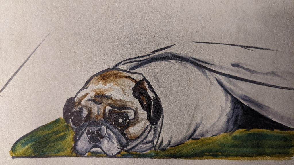 daniel_a_rowell's tweet photo. Another traditionally done doodle. Brush pens were used for this one. I really loved the versatility they have for color blending. This one was done from a photo I had of our dog. https://t.co/6otbErlFQM