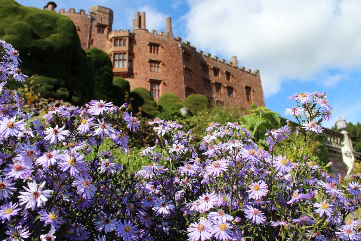 nationaltrust's tweet photo. A view onto nature and history @NTPowisCastle, where a Medieval fortress overlooks lavish herbaceous borders. 
#EscapeTheEveryday https://t.co/cqGI7p5dt1