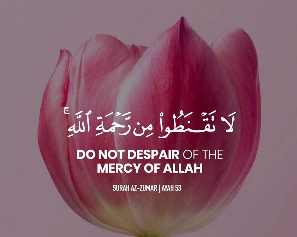 ashiq0616's tweet photo. https://t.co/3KnKrPn5zX