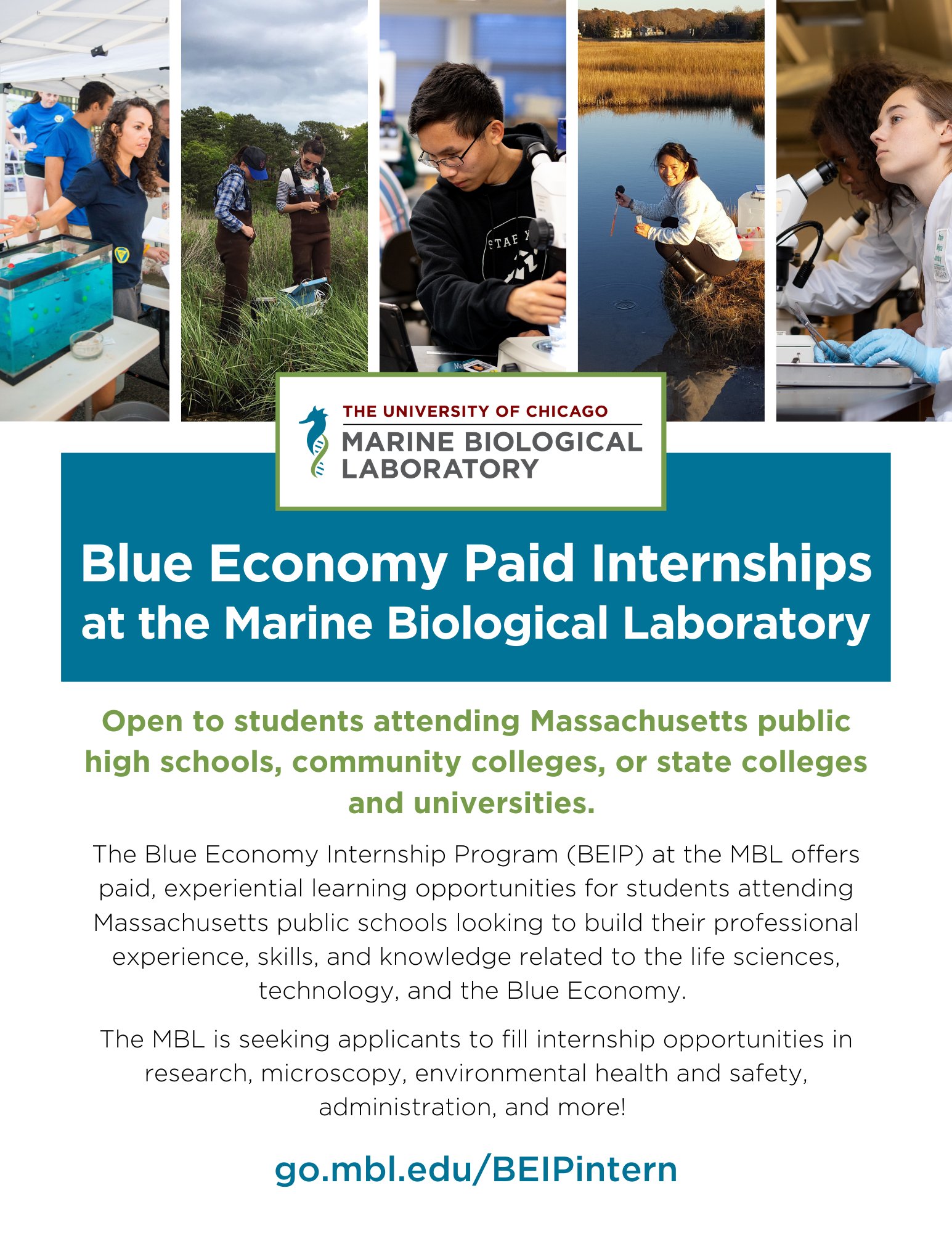 Marine Biological Laboratory (MBL) on Twitter "Have you checked out