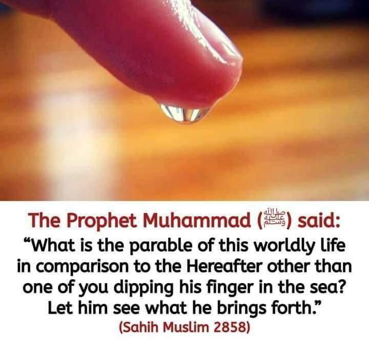 ashiq0616's tweet photo. https://t.co/hZb6UI3X44