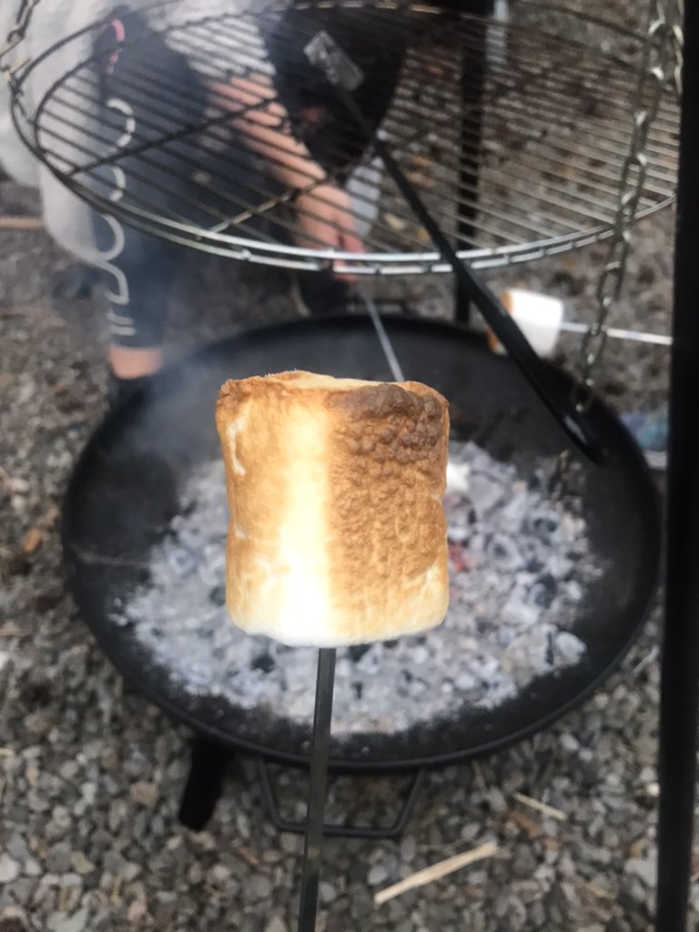 jonkelly31's tweet photo. A few more photos from earlier on #family #bbqfam #bbq #newfirepit https://t.co/iy8IWSUlOP