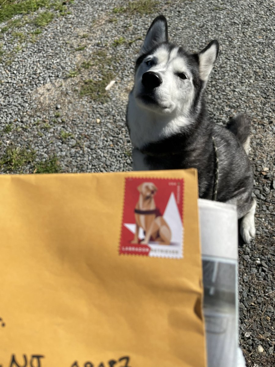 OMG, OMG, OMG! They’re here!  Dog stamp, stamp of approval. <a href="/knowledge_fight/">Knowledge Fight</a> @gotobedjordan