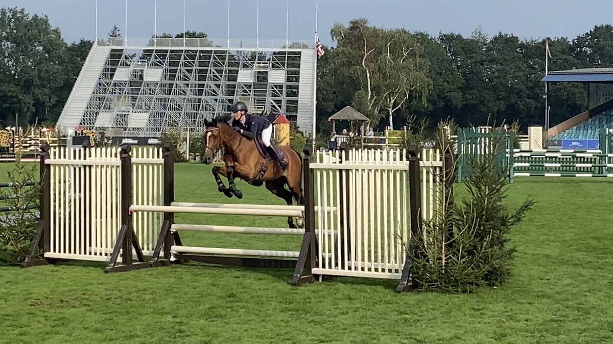 #KingCocomyHero 
22years old and still flying round the main ring at <a href="/HicksteadEvents/">AEJC, Hickstead</a> - he really is one in a million