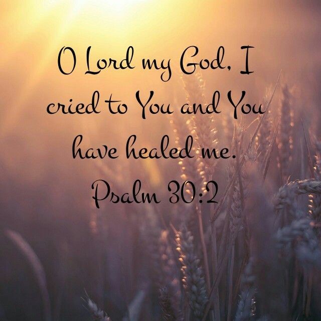 ministerricky1's tweet photo. Almighty God please #HealYourPeople in heart, mind, body &amp; spirit

#BindUpWounds &amp; #StrengthenWhatsWeak so we #CanContinue in #DoingYourWork

Bless #TreatmentsAndCarers that help us heal

Encourage the sick &amp; loved ones 

In #JesusChrist's AllPowerful Name

TY
#EuropaAfricaUS https://t.co/x3vAJBWeRL