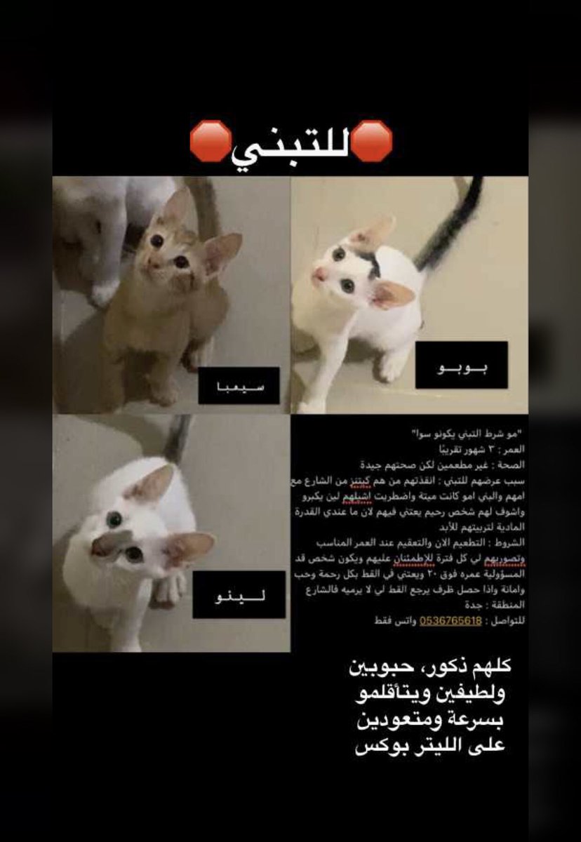 أي شخص عنده امكانية يتواصل على الخاص او على الرقم الموجود بالصورة.