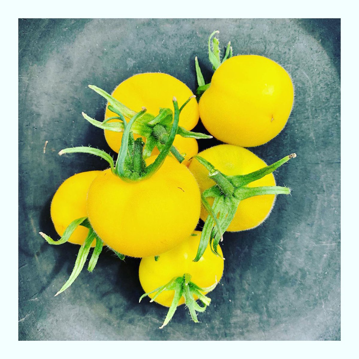 Delicious #heritage #tomatoes #vegetables #garden #homemade