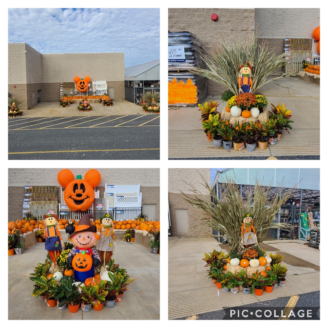 Fall in love with Lowe's. Big shout out entire garden teams, collaborate with one goal in mind Inspire our customers. 
<a href="/BlueBoxR1/">@BlueBoxR1</a> <a href="/Ingram5Curtis/">Curtis Ingram</a> <a href="/AlyshaKellie/">Alysha Scott</a> <a href="/BrianMoorehea13/">Brian Moorehead</a> <a href="/Amanda53250660/">Amanda</a>
<a href="/tcasper2589/">Timothy Casper</a>
 #teamworkmakesthedreamwork