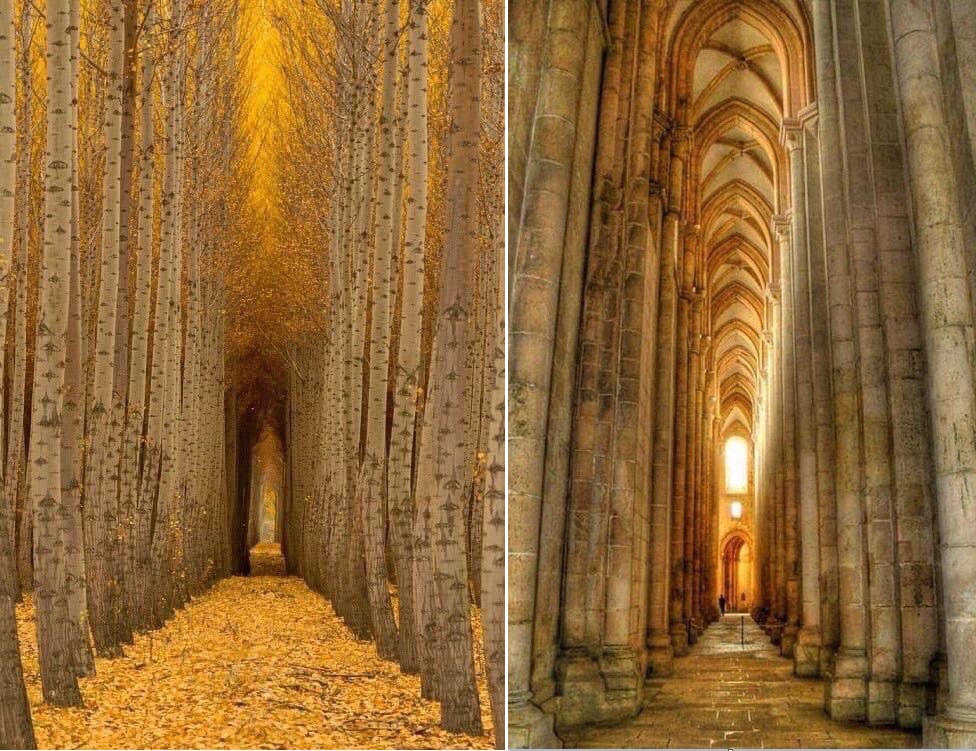 Si somos insensibles ante la belleza, será difícil que descubramos a su autor, que se esconde y se revela en ella…