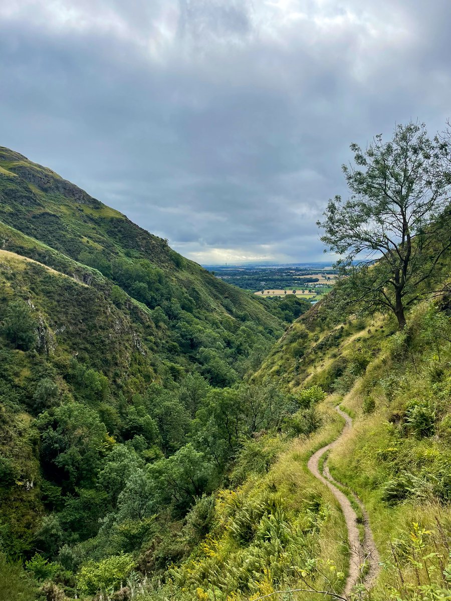 Jason Wagner tweet media