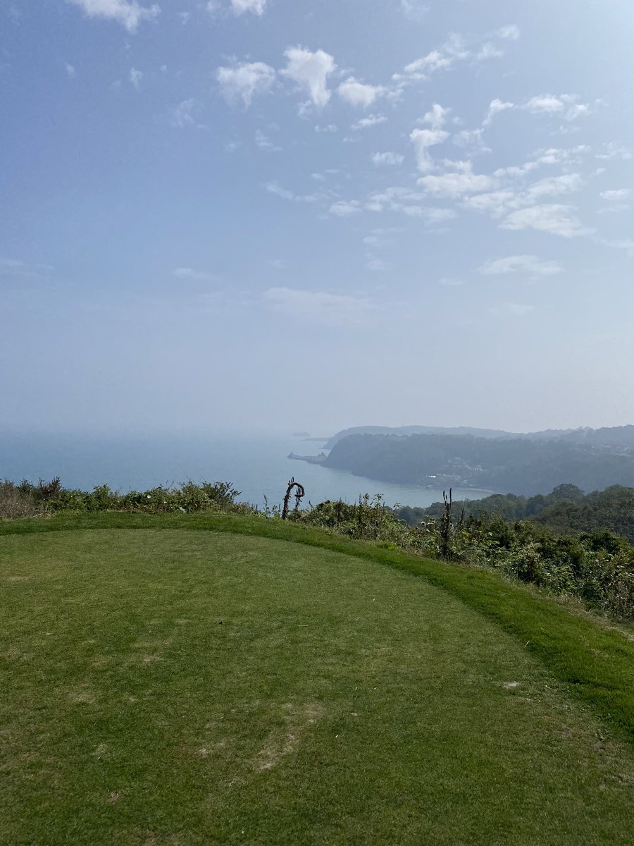 Sam Stewart tweet media