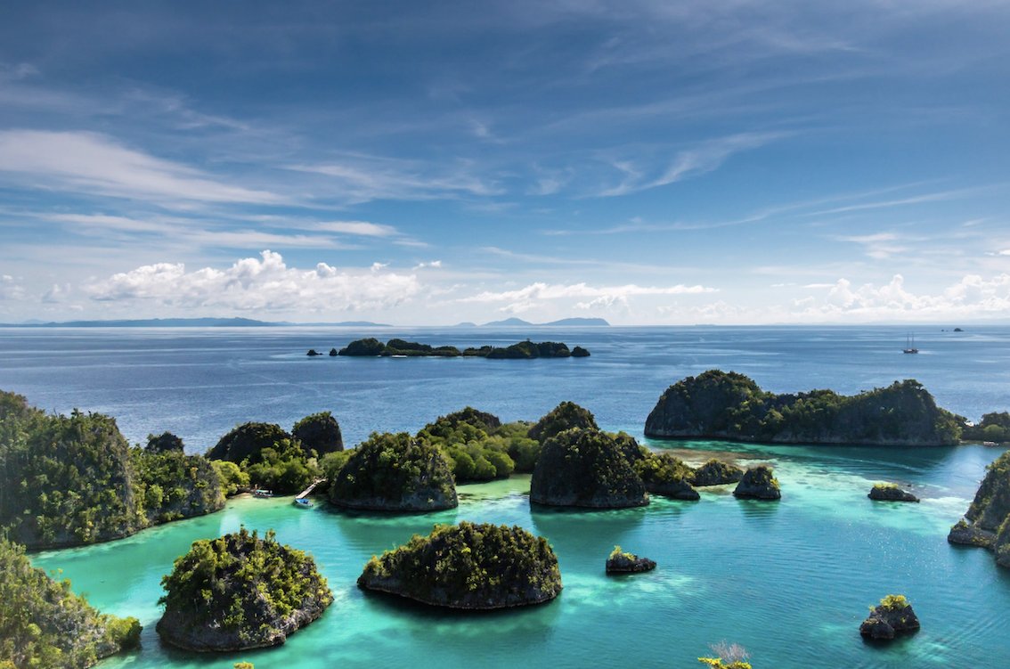 How does regional pool diversity shape unique island communities globally? Find out more about this month's Cover Image article  doi.org/10.1111/jbi.14… 
on the journals blog at
journalofbiogeographynews.org/2021/09/04/poo… @hebert_kat