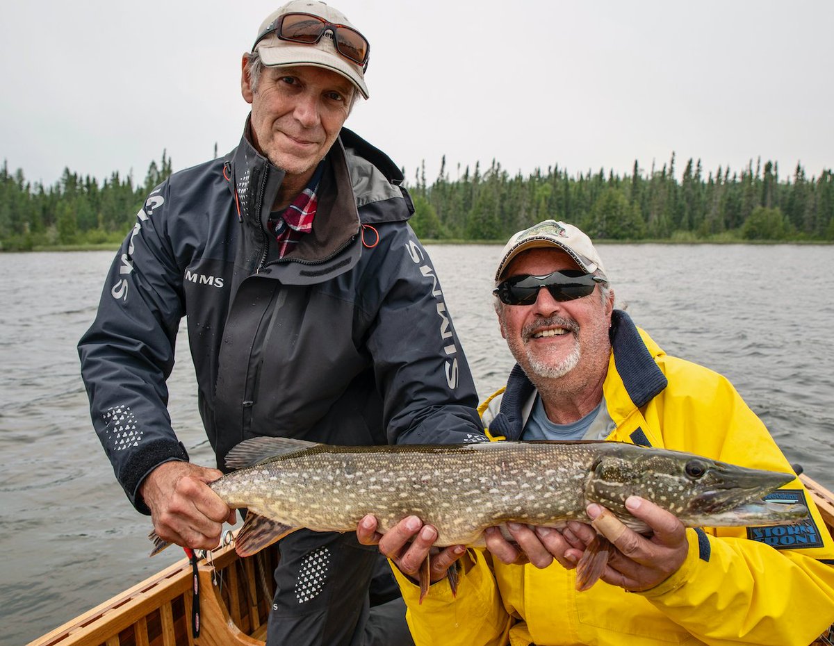 FishingSimcoe's tweet image. cabin14.ca/blog/field-jou…