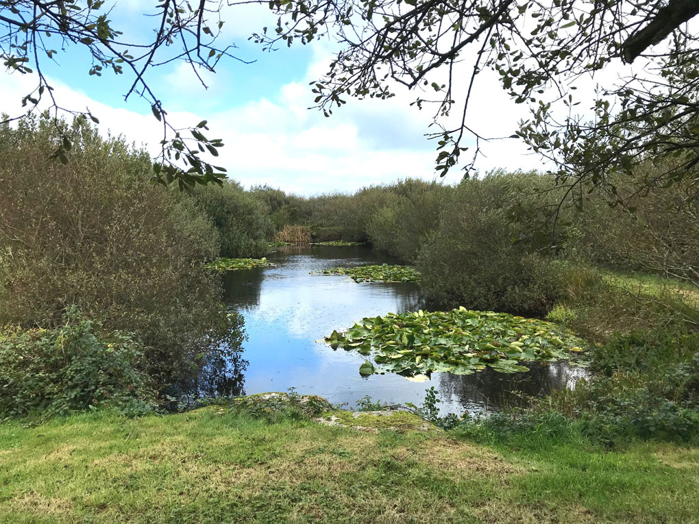 belgravestives's tweet image. This time next week OPEN DAY at the gallery so we can see you in real person! Sat 11 Sept, noon until 6pm. All welcome. Artist Alice Mumford 2-4pm and Barns-Graham artist films with pims. #belgravestives #spectacularviews #cornishart