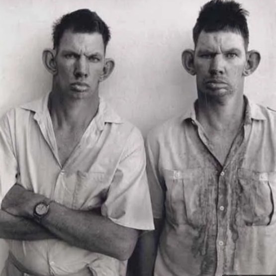 Bpross56's tweet photo. @jimsciutto In all fairness,  where would the south be without inbreeding. https://t.co/KO6DAVEMQH