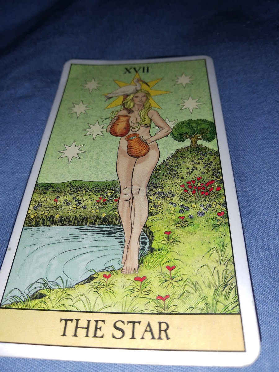 Igor Reale tweet media