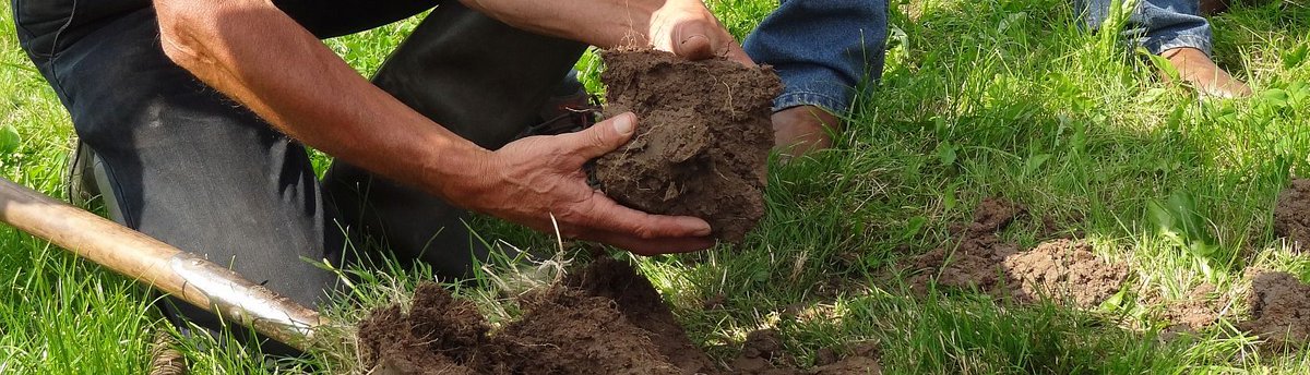 Stichting Via Natura (@viastichting) on Twitter photo #Bodemleven draait op plantenwortels. De wortels van de planten in een grasland leveren de organische stof voor een actief bodemleven. Als dat goed draait blijf je er van af. <a href="/PloegdrieverANV/">Ploegdriever</a>
<a href="/ZLTORvNijmegen/">ZLTO RijkvanNijmegen</a>
@LouisBolk
@RadboudHL
<a href="/DeltaplanBio/">Deltaplan Biodiversiteitsherstel</a>
vianatura.nl/biodiversiteit… #Bodemleven draait op plantenwortels. De wortels van de planten in een grasland leveren de organische stof voor een actief bodemleven. Als dat goed draait blijf je er van af. <a href="/PloegdrieverANV/">Ploegdriever</a>
<a href="/ZLTORvNijmegen/">ZLTO RijkvanNijmegen</a>
@LouisBolk
@RadboudHL
<a href="/DeltaplanBio/">Deltaplan Biodiversiteitsherstel</a>
vianatura.nl/biodiversiteit…