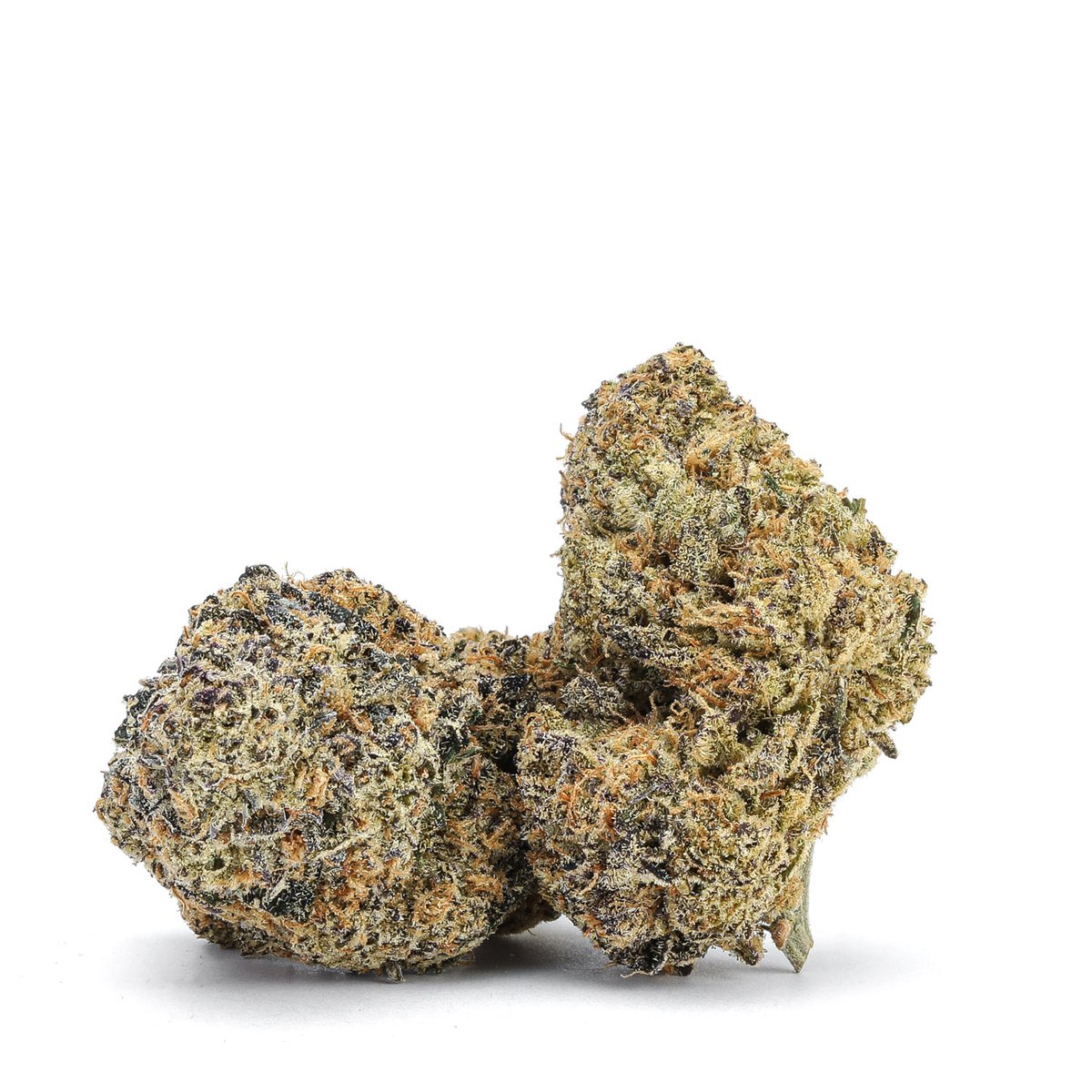 therealbudmail's tweet photo. Albatross - Hellfire OG
SHOP: https://t.co/Mr7j0PDggv
#budmail #albatross #canadiancannabis #canada #bccannabis #cannabis #cannabismom #cannabisphotography #cannabisdaily https://t.co/rgRRbDKRYX