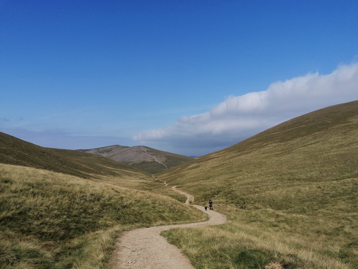 Run_Rabbit88's tweet photo. My 214th of the 214 Wainwrights: Grasmoor done!

Been distracted by achieving other goals but such a lovely day to finish them on. #LakeDistrict https://t.co/EIBtWFy3AA