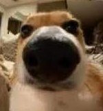 ByAngelT tweet media