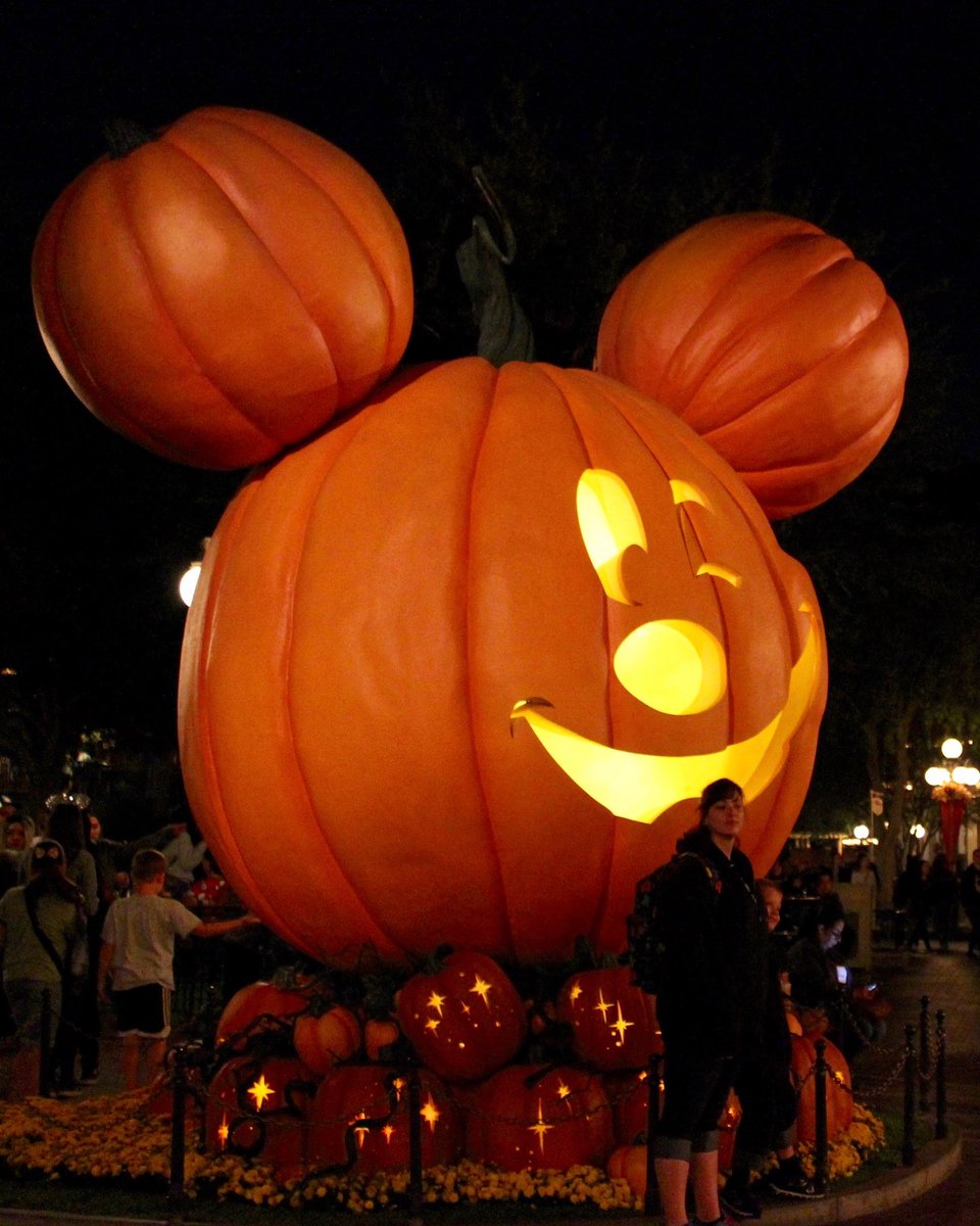 NextStopDisney's tweet image. Happy Halloween Season, #disneydarlings! 

What are you most looking forward to from this year’s Disney Treat offerings? #disneyfoodie