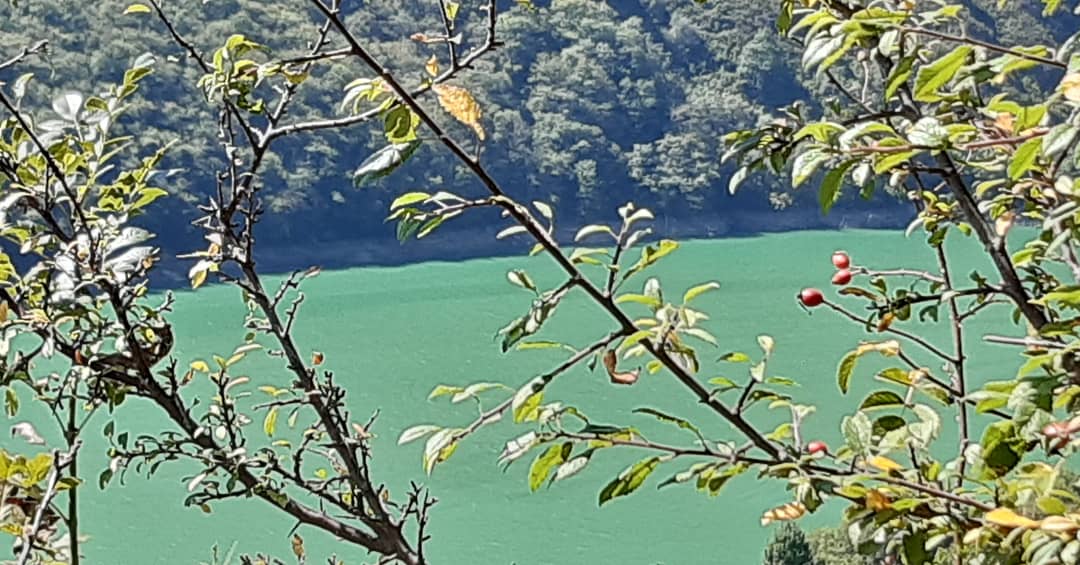 Monica_Armayor's tweet photo. #parquenaturalredes
Tanes. https://t.co/wDfkUqekvX