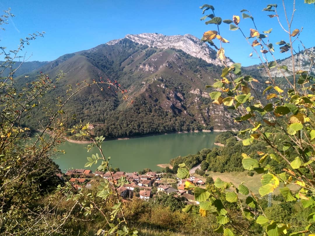 Monica_Armayor's tweet photo. #parquenaturalredes
Tanes. https://t.co/wDfkUqekvX