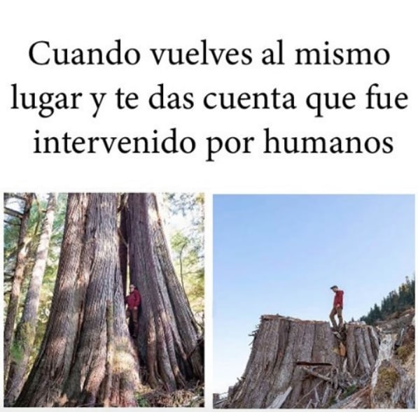 LaComisionVerde's tweet photo. 😰😰😰😰😰😰😰😰 https://t.co/EGhASQlTIh