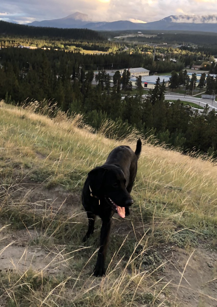 donnamillerfry.com on Bluesky tweet media