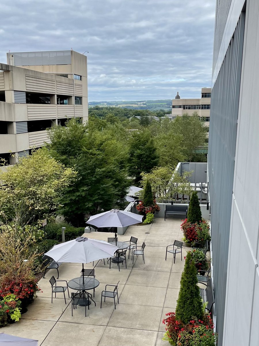 Fatima Absar, MD, MPH tweet media