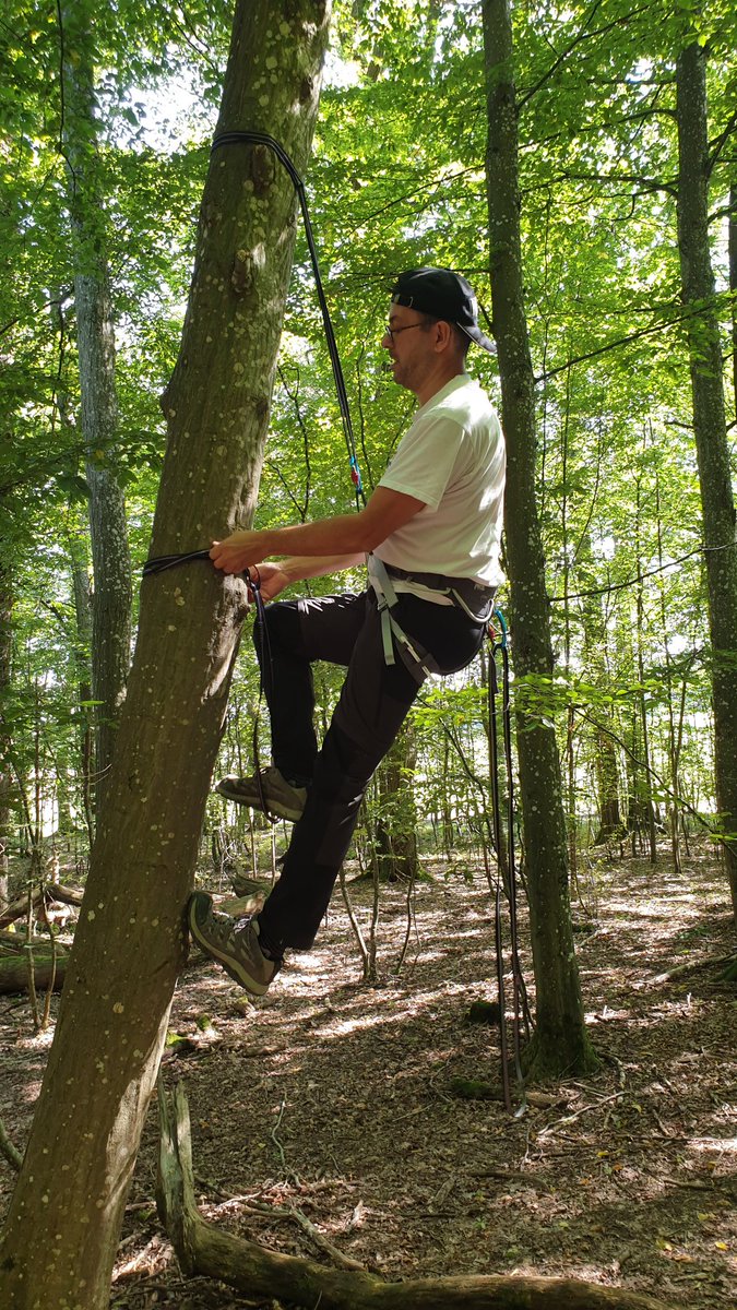 David Sarrado tweet media