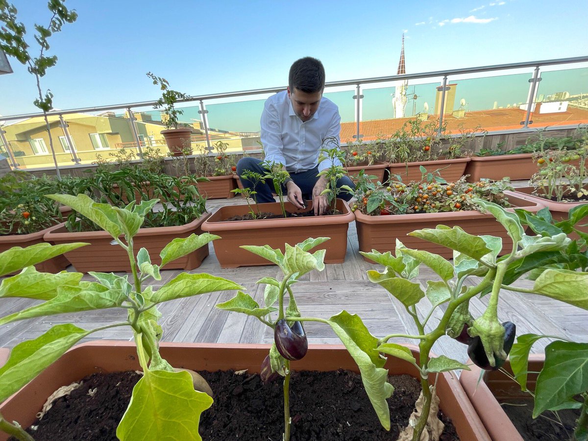 ayyildirim1's tweet photo. 2- Permakültür ; özellikle şehirlerde, balkon, teras ve bahçe gibi değerlendirilebilir alanlarda herkesin kendi sebze ve meyvesini yetiştirmesini sağlayan ve bunun da sürdürülebilir olmasına olanak tanıyan bir tasarım modelidir. https://t.co/E1KasZd9OJ