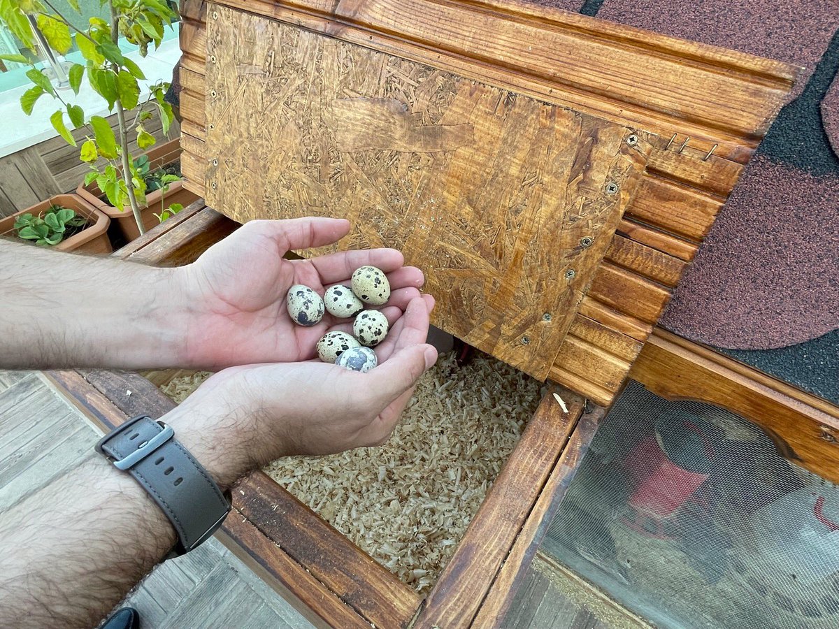 ayyildirim1's tweet photo. 2- Permakültür ; özellikle şehirlerde, balkon, teras ve bahçe gibi değerlendirilebilir alanlarda herkesin kendi sebze ve meyvesini yetiştirmesini sağlayan ve bunun da sürdürülebilir olmasına olanak tanıyan bir tasarım modelidir. https://t.co/E1KasZd9OJ